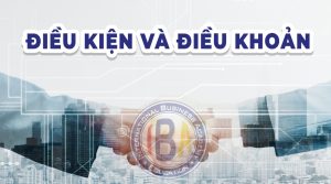 điều khoản và điều kiện